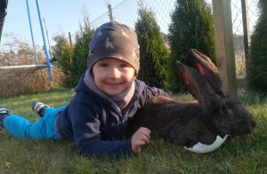 Na zdjęciu widoczny Marcel leżący na trawie trzymający królika.
