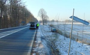 Na drodze asfaltowej stoi oznakowany radiowóz. Po lewej w przydrożnym rowie jest samochód.