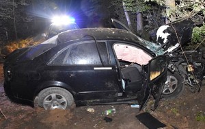 Noc w lesie. Po prawej drzewo, w które uderzył ciemny samochód. Auto jest rozbite. W tle widać oznakowany radiowóz i jego sygnały świetlne.