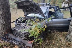 Na zdjęciu widać samochód, który uderzył w drzewo i ma bardzo uszkodzony przód.