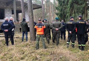 W lesie między drzewami stoją przedstawiciele różnych służb.
