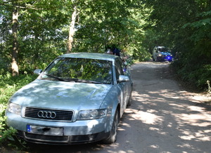 Na drodze leśnej po lewej stoi audi.