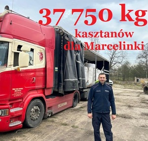 Policjant na tle tira z workami z kasztanami