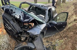 Rozbity samochód, który uderzył w drzewo