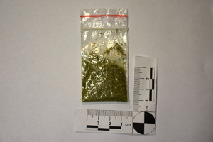 Zabezpieczona marichuana