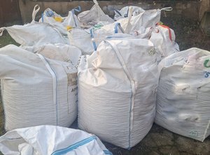 Finał zbiórki kasztanów dla Mai