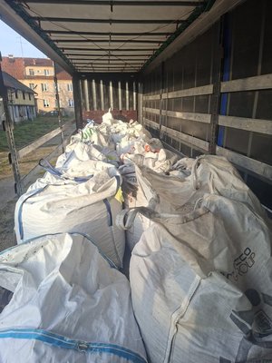 Finał zbiórki kasztanów dla Mai