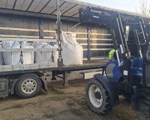 Finał zbiórki kasztanów dla Mai