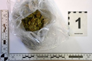 Zabezpieczona marihuana